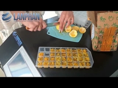 Σπίτι Ατμοσφαιρικό Σώμα Σκούπιση Φρούτων Λυοφιλιωτικό Εξοπλισμό