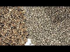 Μηχανή Διαλογής Χρώματος Ρυζιού Κόκκων Καφέ Ρυζιού Σιτηρών Σιταριού Αυτόματη Μηχανή Διαλογής