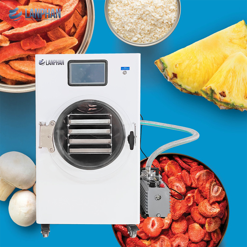 Lanphan Home Strawberry White Vacuum Freeze-drying Machine με αντλία κενού ή χωρίς αντλία πετρελαίου