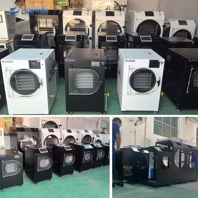 4m2 14 Μεγάλα Δίσκοι Μηχανή Αφυδάτωσης Τροφίμων Vacuum Φρούτων Τιμή Εμπορικού Εξοπλισμού Vacuum Freeze Drying