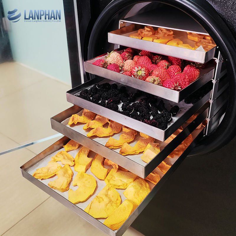 Συσκευή κατάψυξης-ξήρανσης, Μηχανή κατάψυξης-ξήρανσης για κρέας, τροφή για κατοικίδια, φρούτα