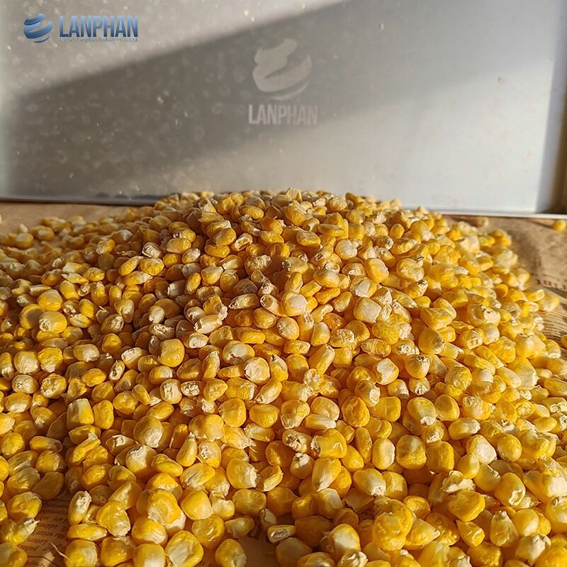 4-6Kg αυτόματη συσκευή στεγνώσεως ψύξης κρέατος φρούτων για οικιακή χρήση