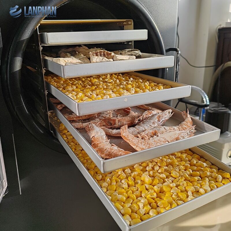 Μικρού μεγέθους ανοξείδωτο στεγνωτήριο κατάψυξης 5 δίσκων με αντλία λαδιού για καραμέλες και τρόφιμα