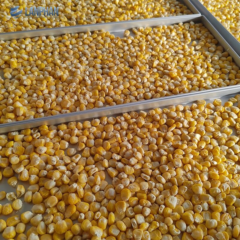 Μικρού μεγέθους ανοξείδωτο στεγνωτήριο κατάψυξης 5 δίσκων με αντλία λαδιού για καραμέλες και τρόφιμα