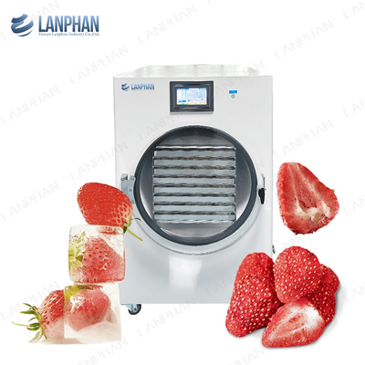 40kg Berries Φρούτα Vakuum Freeze Dryer Lyophilizer Candy Αγγούρι 8 δίσκοι Freeze Dry Machine